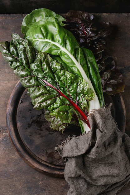 Feuilles de salade Chard mangold