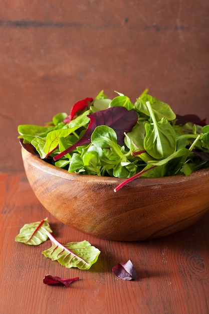 Feuilles de salade fraîche dans un bol: épinards, mangold, ruccola