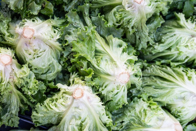 Feuilles de salade de laitue verte sur un étal de marché.