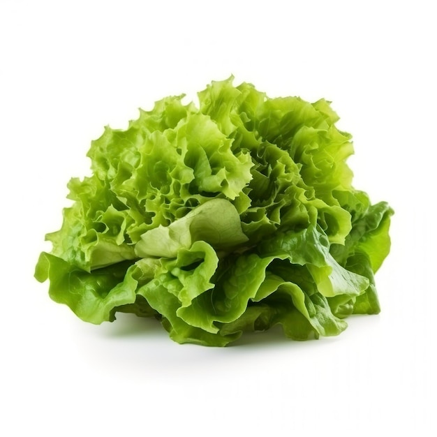 Feuilles de salade de laitue verte fraîche isolées sur fond blanc génèrent de l'ai