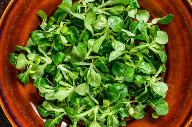 Feuilles de salade de maïs vert frais sur une assiette rustique