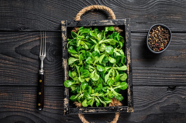 Feuilles de salade verte fraîche de laitue d'agneau sur un plateau en bois. Fond en bois noir. Vue de dessus.