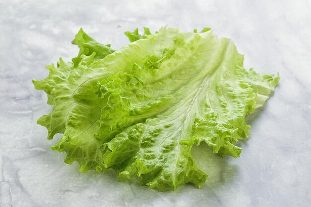 Feuilles de salade verte fraîche