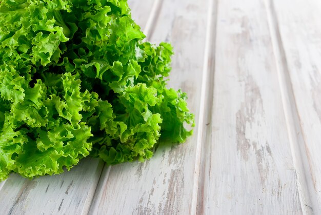 Feuilles de salade vertes fraîches