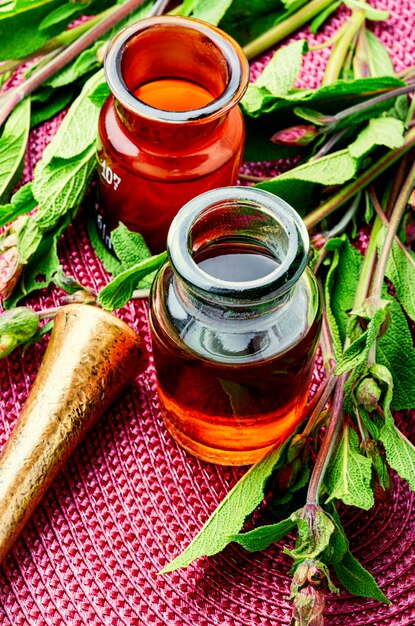 Feuilles de sauge ou salvia en phytothérapie.Herbes médicinales