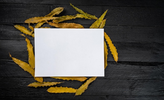 Feuilles séchées avec une note blanche sur fond noir