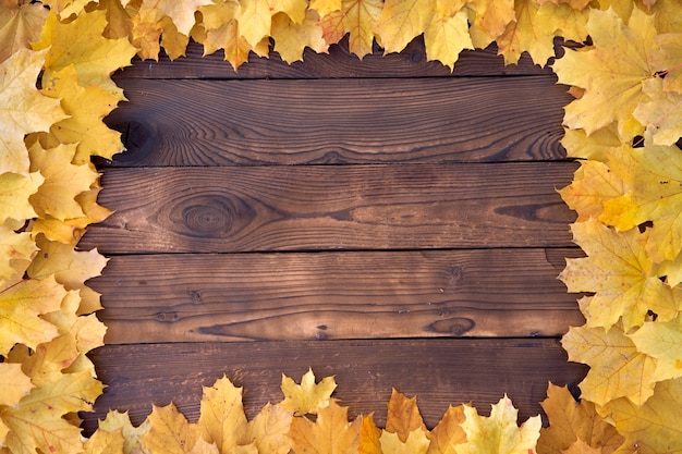 Feuilles sèches d'automne d'érable sur des planches de bois