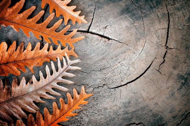 Feuilles sèches sur fond en bois, pour fond de nature.