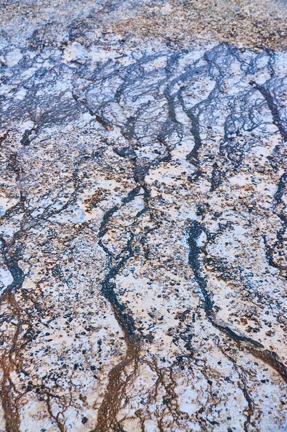 Les feuilles de la source de Yellowstone coulent sur le sol comme des rivières.