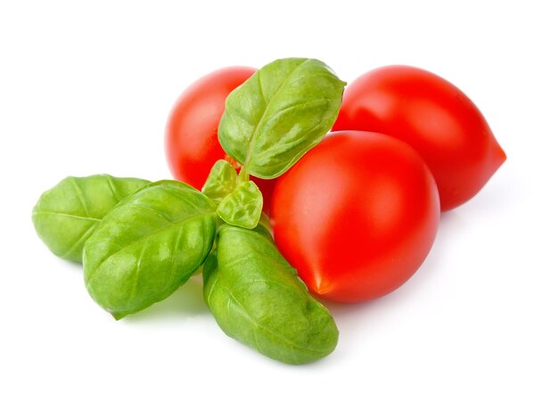 Photo les feuilles de tomates et de basilic