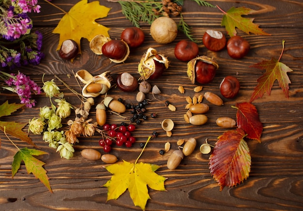 Feuilles tombées et fruits secs sur la vieille table en bois, vue du dessus