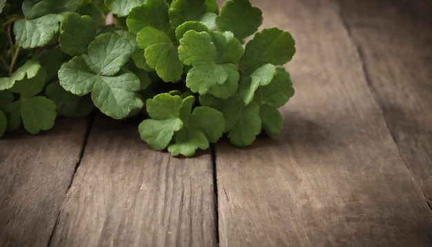 Des feuilles de trèfle vert sur un fond en bois Jour de Saint-Patrick Copier l'espace Fête de la bière