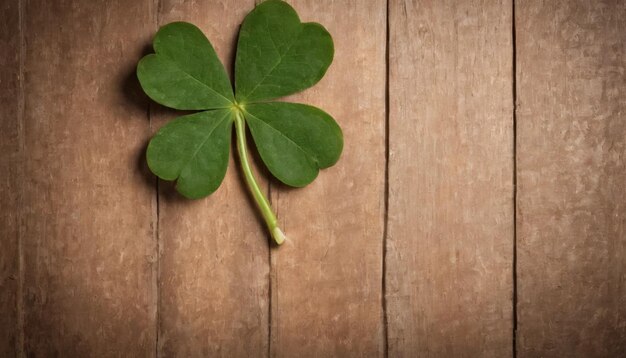 Des feuilles de trèfle vert sur un fond en bois Jour de Saint-Patrick Copier l'espace Fête de la bière