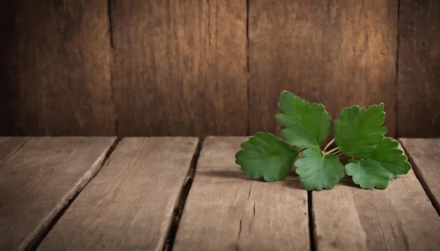 Des feuilles de trèfle vert sur un fond en bois Jour de Saint-Patrick Copier l'espace Fête de la bière