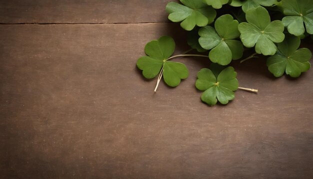 Des feuilles de trèfle vert sur un fond en bois Jour de Saint-Patrick Copier l'espace Fête de la bière