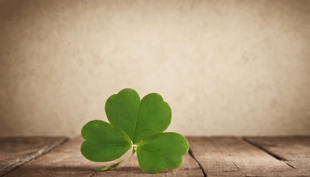 Des feuilles de trèfle vert sur un fond en bois Jour de Saint-Patrick Copier l'espace Fête de la bière