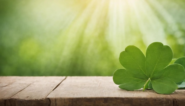 Des feuilles de trèfle vert sur un fond en bois Jour de Saint-Patrick Copier l'espace Fête de la bière