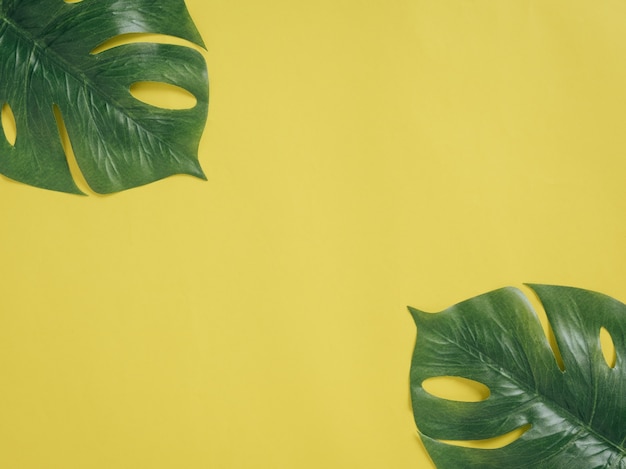 Feuilles tropicales Monstera sur fond jaune.