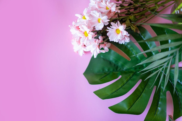 Feuilles tropicales Monstera sur fond rose Vue de dessus à plat