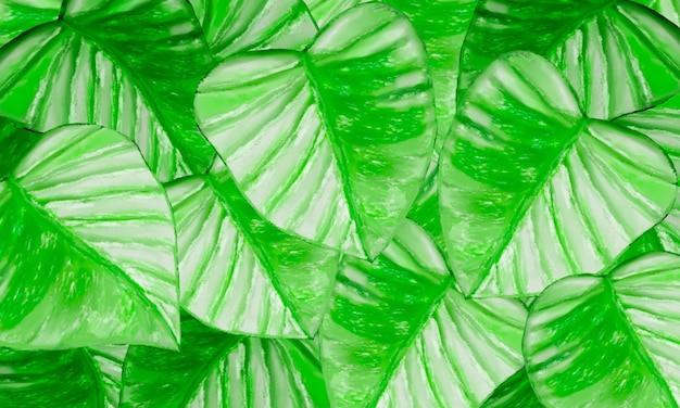 Feuilles tropicales vertes et blanches aquarelle peinture numérique abstrait nature printemps fond