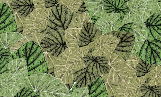 Feuilles tropicales vertes motif abstrait printemps nature fond d'écran design fond