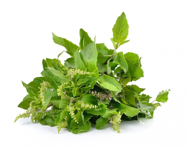 feuilles de tulsi sur tableau blanc