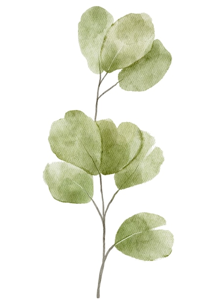 Feuilles de verdure à l'aquarelle dessinées à la main sur un fond blanc