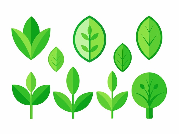 Des feuilles vertes et des arbres représentés sur un fond blanc dans un rectangle artistique