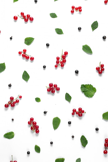 Feuilles vertes et baies fraîches sur blanc séparément.