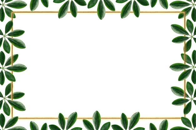 Feuilles vertes avec un élément de conception de cadre rectangulaire