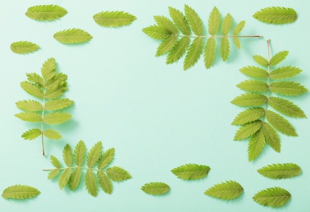 Feuilles vertes sur fond de papier