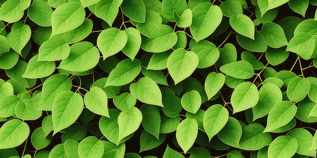 Feuilles vertes sur fond sombre