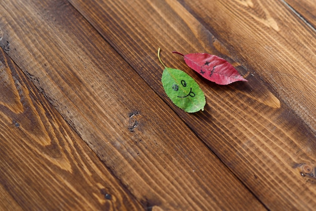 Feuilles vertes et rouges tombées avec des symboles de visages heureux et tristes