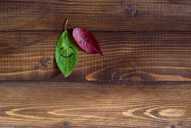 Feuilles vertes et rouges tombées avec des symboles de visages heureux et tristes