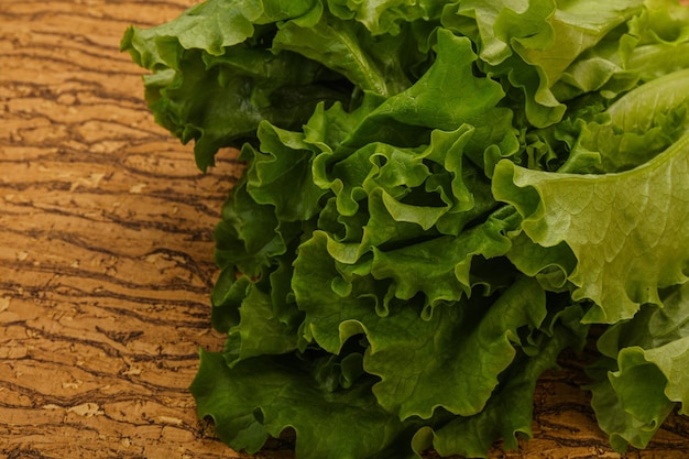 Feuilles vertes de tas de salade de laitue