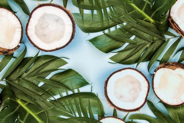 Feuilles vertes tropicales feuilles de palmier et noix de coco