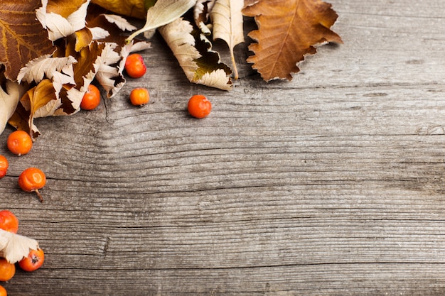 Feuilles sur la vieille table en bois