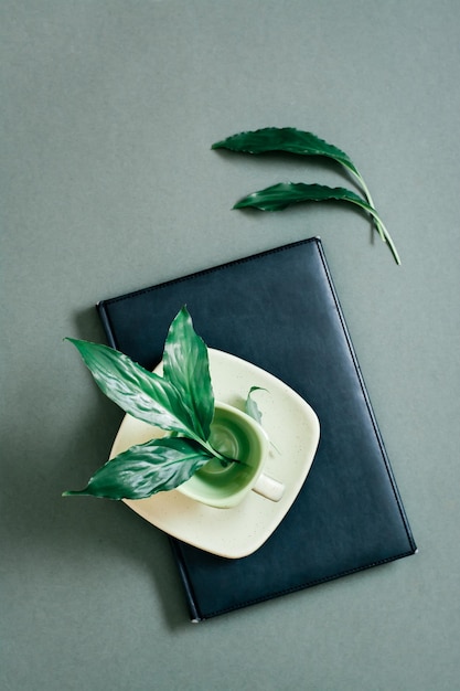 Feuilles vivantes fraîches dans une tasse de café sur un livre sur fond vert. Notion verte. Vue de dessus et verticale.