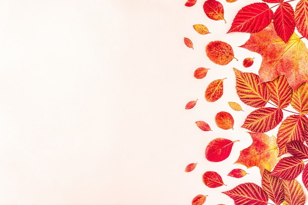 Feuilles vives et rouges sur fond pastel