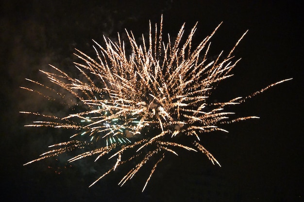 Feux d'artifice sur le ciel nocturne