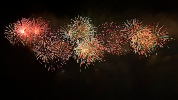 Feux d'artifice colorés sur le ciel nocturne