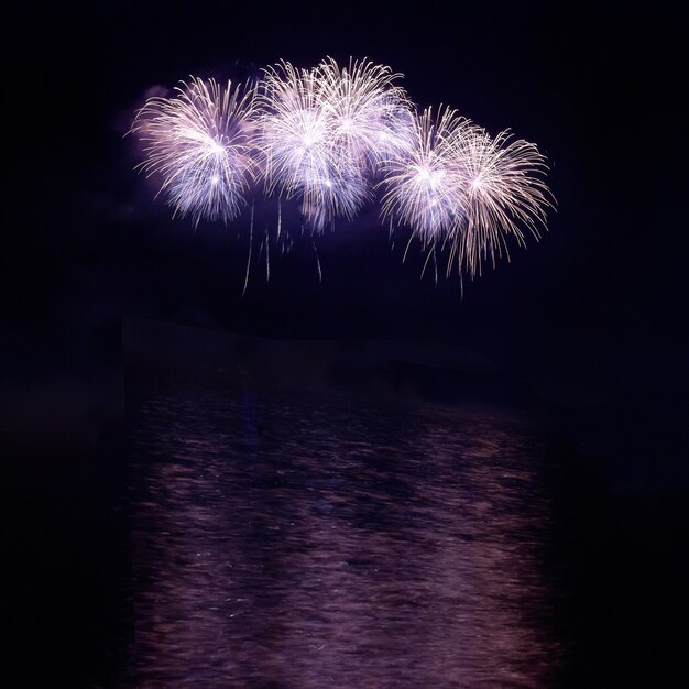 Feux d'artifice colorés sur le ciel noir