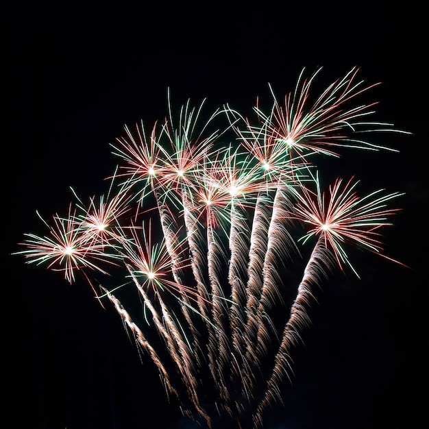 Feux D'artifice Colorés Sur Ciel Noir