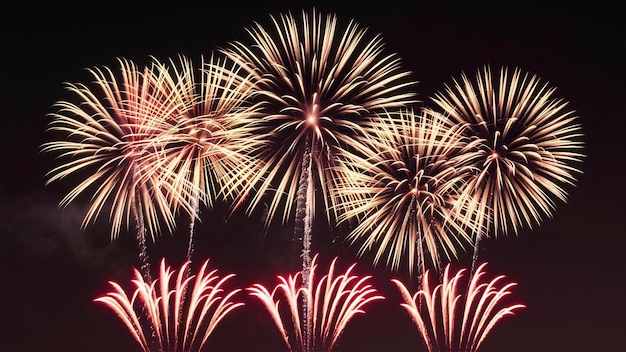 Des feux d'artifice colorés sur le ciel noir