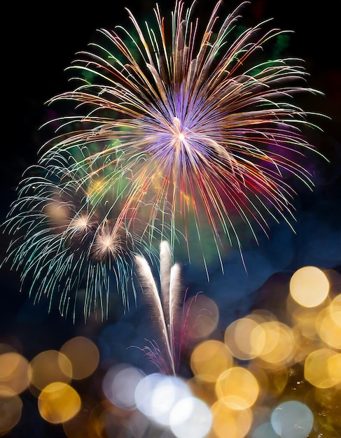 Feux d'artifice colorés avec des feux d' artifice nuit sombre