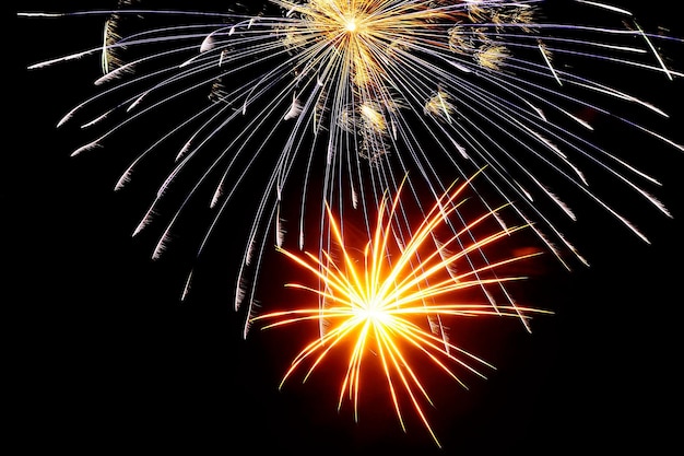 Des feux d'artifice colorés ont éclaté dans le ciel nocturne.