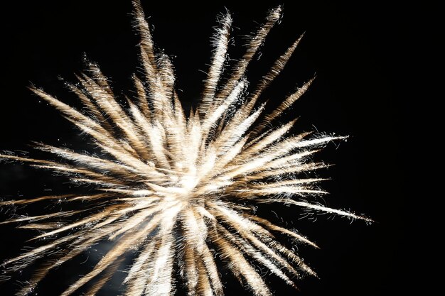 Photo des feux d'artifice contre le ciel la nuit