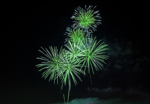 Photo feux d'artifice dans le fond du ciel sombre