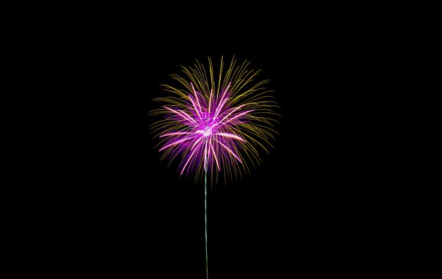 Feux d'artifice dans la nuit.