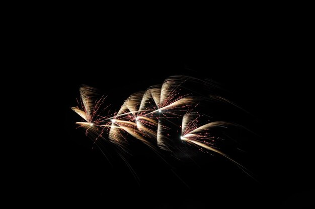 Photo feux d'artifice dans la nuit